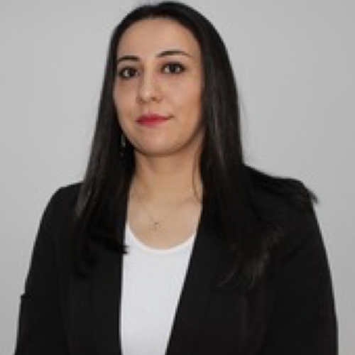 Fərzalıyeva Nərmin Eldəniz qızı 